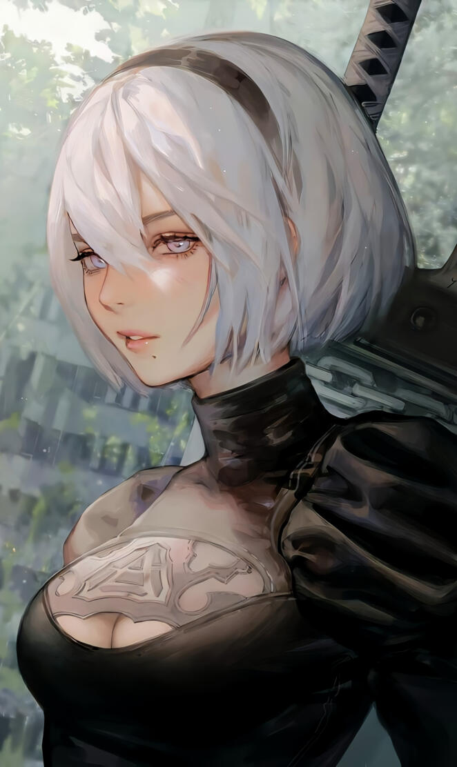 Nier automata