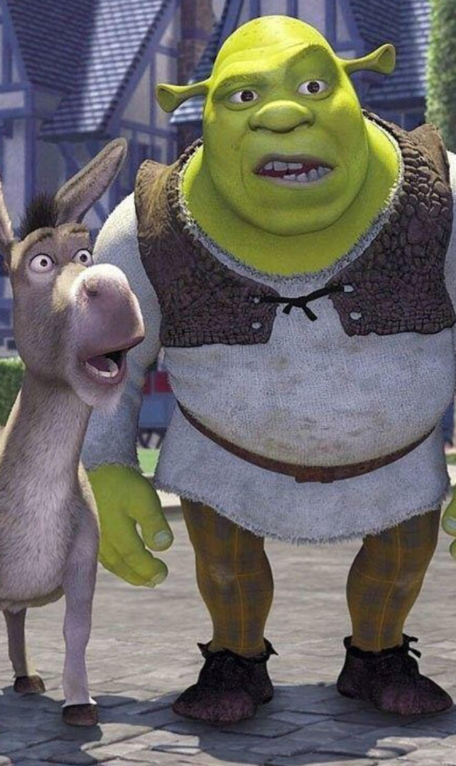 Shrek and Donkey