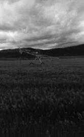 Montana 