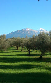 Agios Konstantinos-3