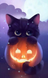 Cute pumpkin cat