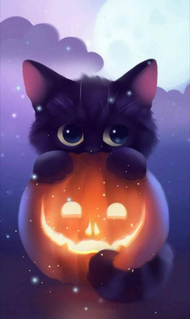 Cute pumpkin cat