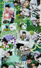 Gon and killua