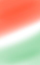 Magyar zászló - mos.