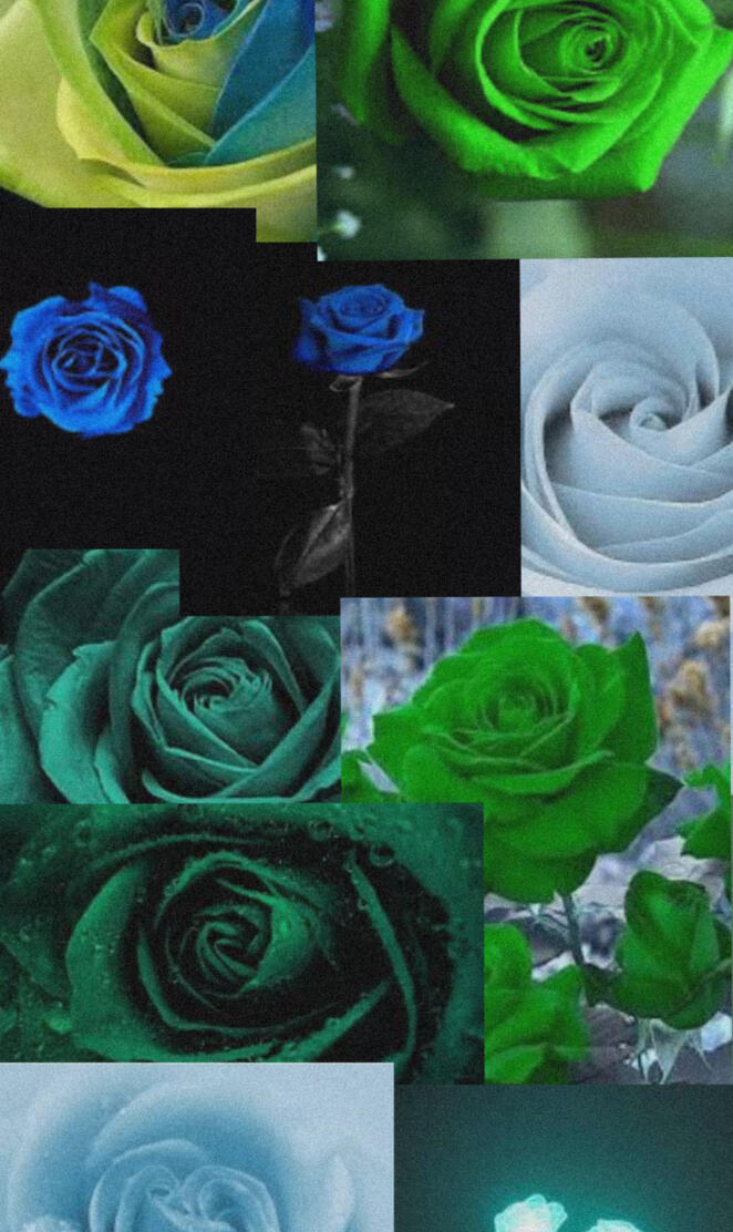 Blue and Green Rose