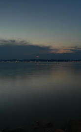 Balaton