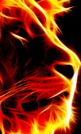 Flame Lion HD