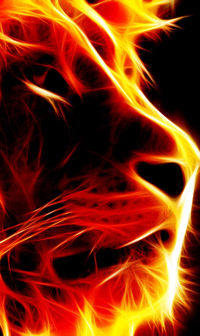 Flame Lion HD