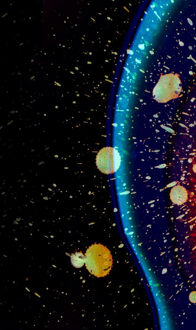 radiohead inrainbows