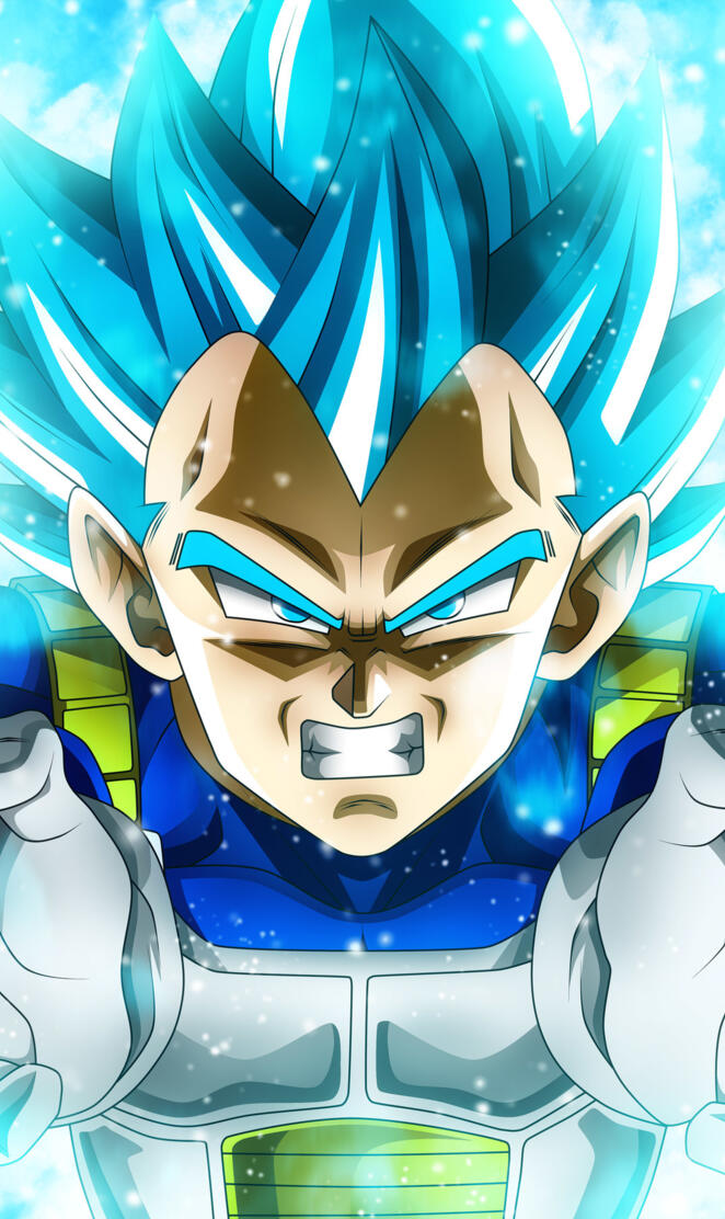 DBS Vegeta