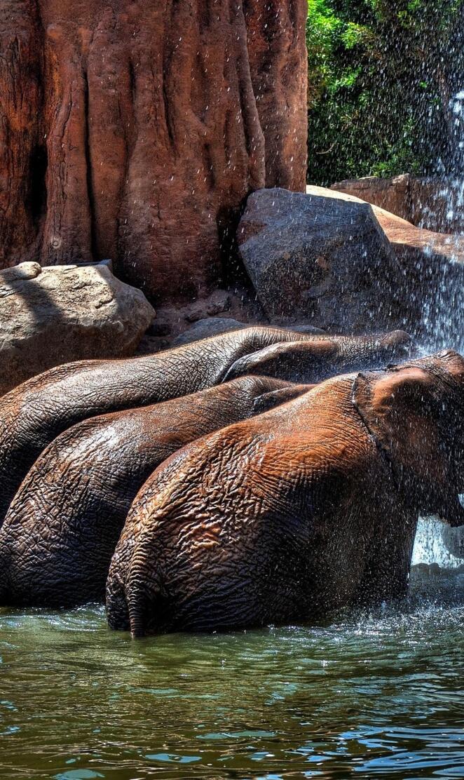 Who needs a car wash