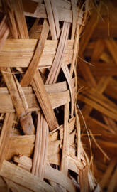 Motorola Moto X 2014