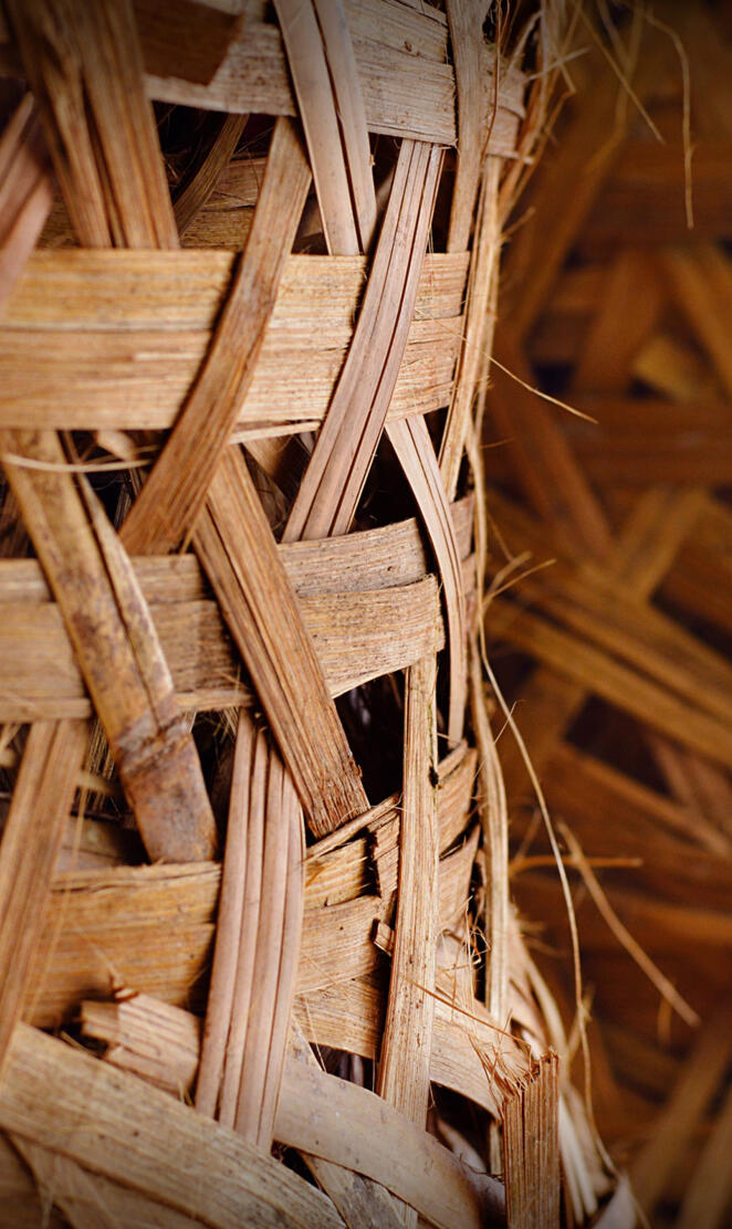 Motorola Moto X 2014