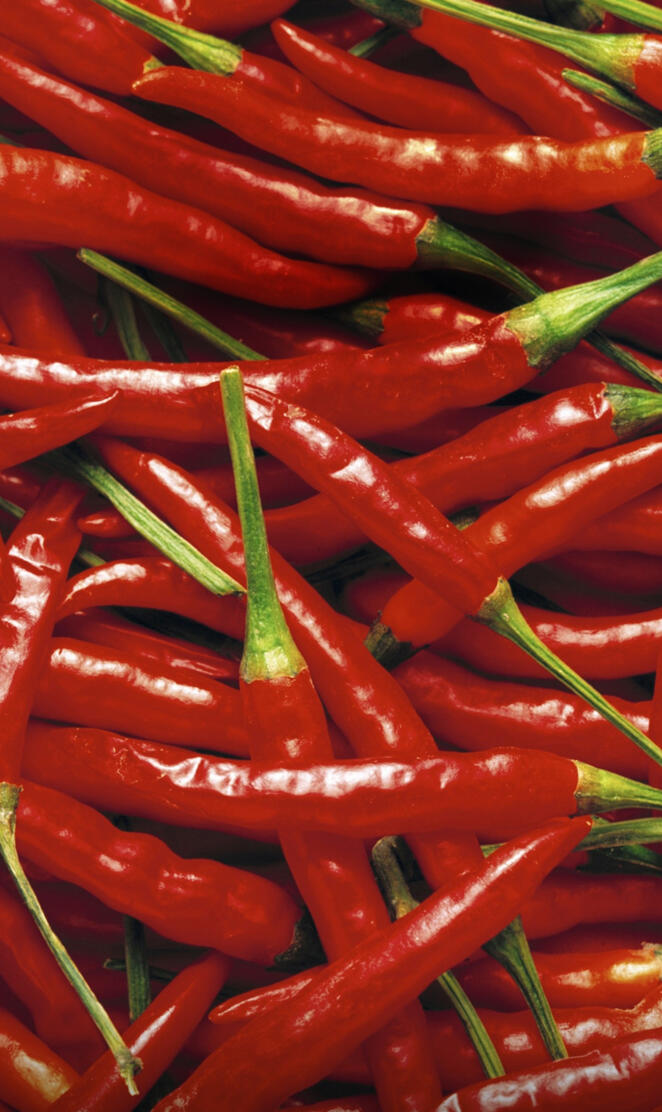 Motorola Moto X 2014