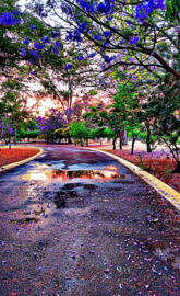 Parque Atardecer