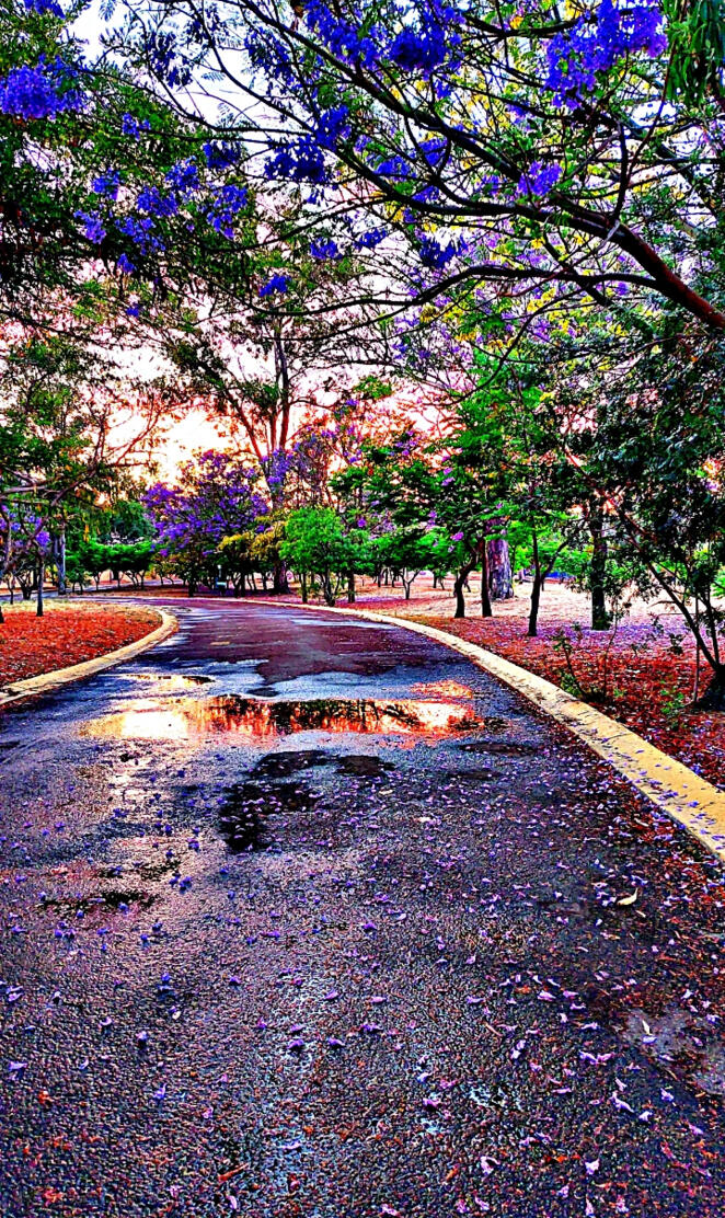 Parque Atardecer