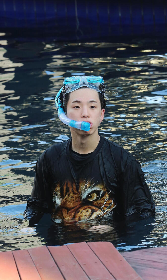 SVT In The Soop ~Hoshi