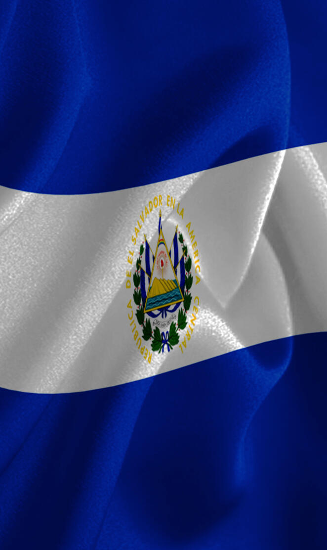 el salvador flag