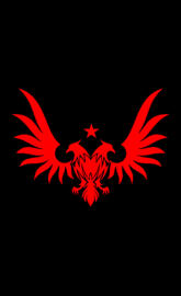 Kartal