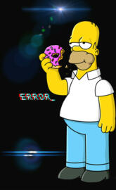 Homer error