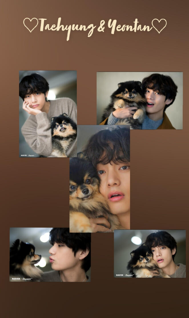 Taehyung Yeontan 
