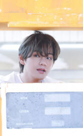 Taehyung V