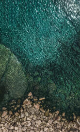 Nova 3 High Contrast