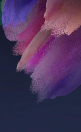 Samsung Galaxy S21 FE