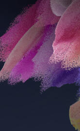 Samsung Galaxy S21 FE