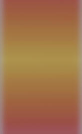 SunnyStyle Galaxy s20z