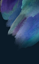 Samsung Galaxy S21 FE