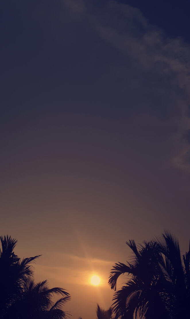 Sunset Wallpaper