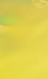 S10e Canary Yellow 6