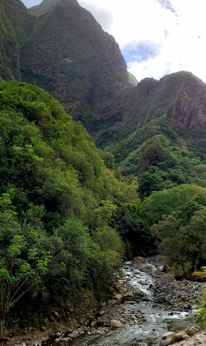river in Iao valley 