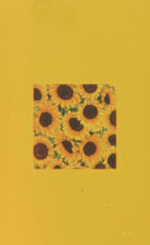 Aesthetic Sunflowers