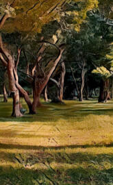 Painting of trees