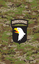 101st Airborne