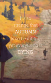 autumn
