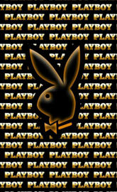 PlayBoy