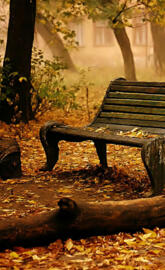 Autumn Bench