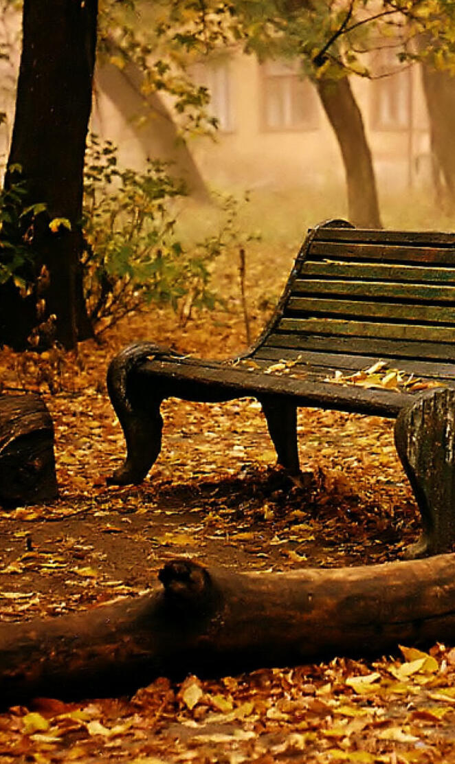 Autumn Bench