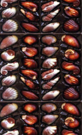 Praline Seashells