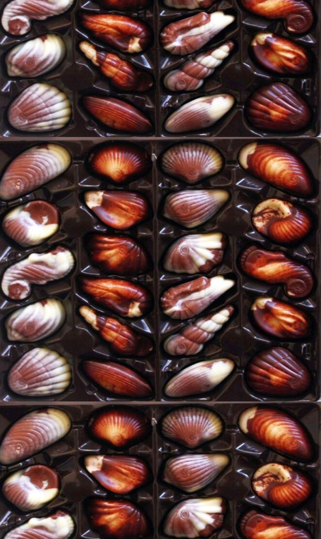 Praline Seashells