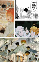 The promised neverland