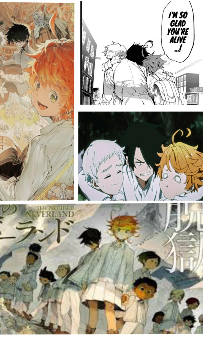The promised neverland