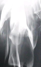 Highschool Lunch Dad