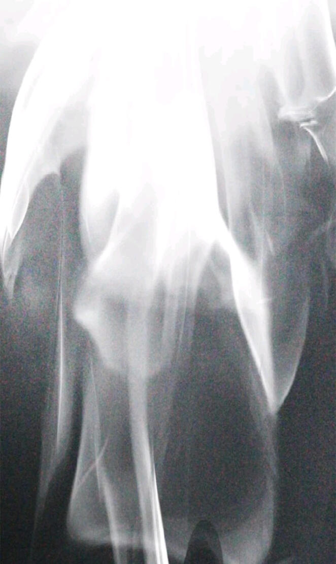 Highschool Lunch Dad