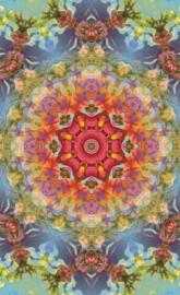 Snapdragon photoshop