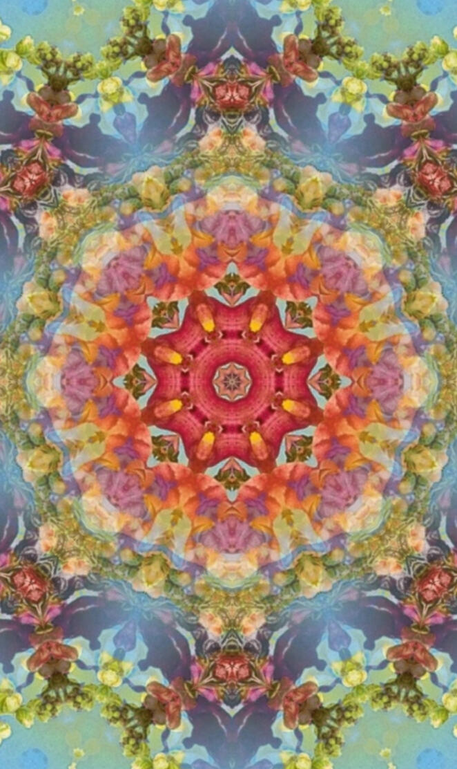 Snapdragon photoshop