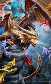 Flight of the Dragon